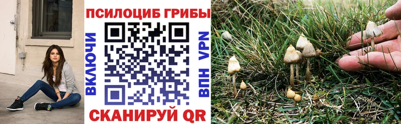 МЕГА зеркало  хочу наркоту  Санкт-Петербург  Галлюциногенные грибы GOLDEN TEACHER 